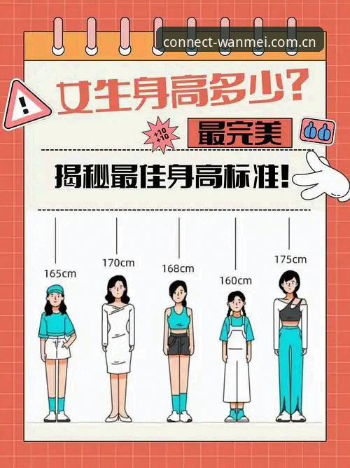 揭秘完美体育官方入口：一个资深用户的真实体验与深度分享